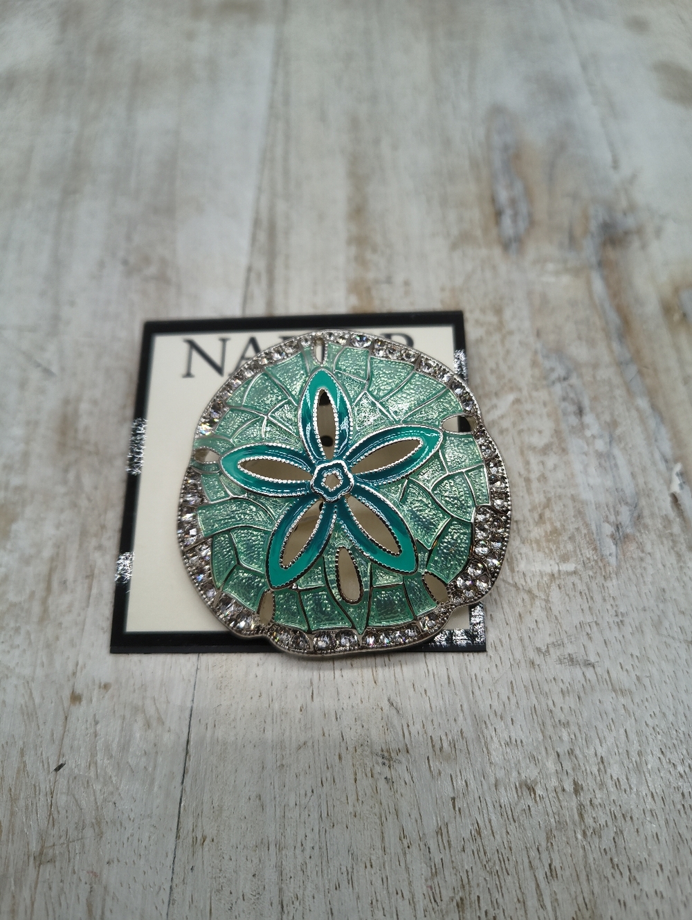 Napier Sand Dollar  Pin